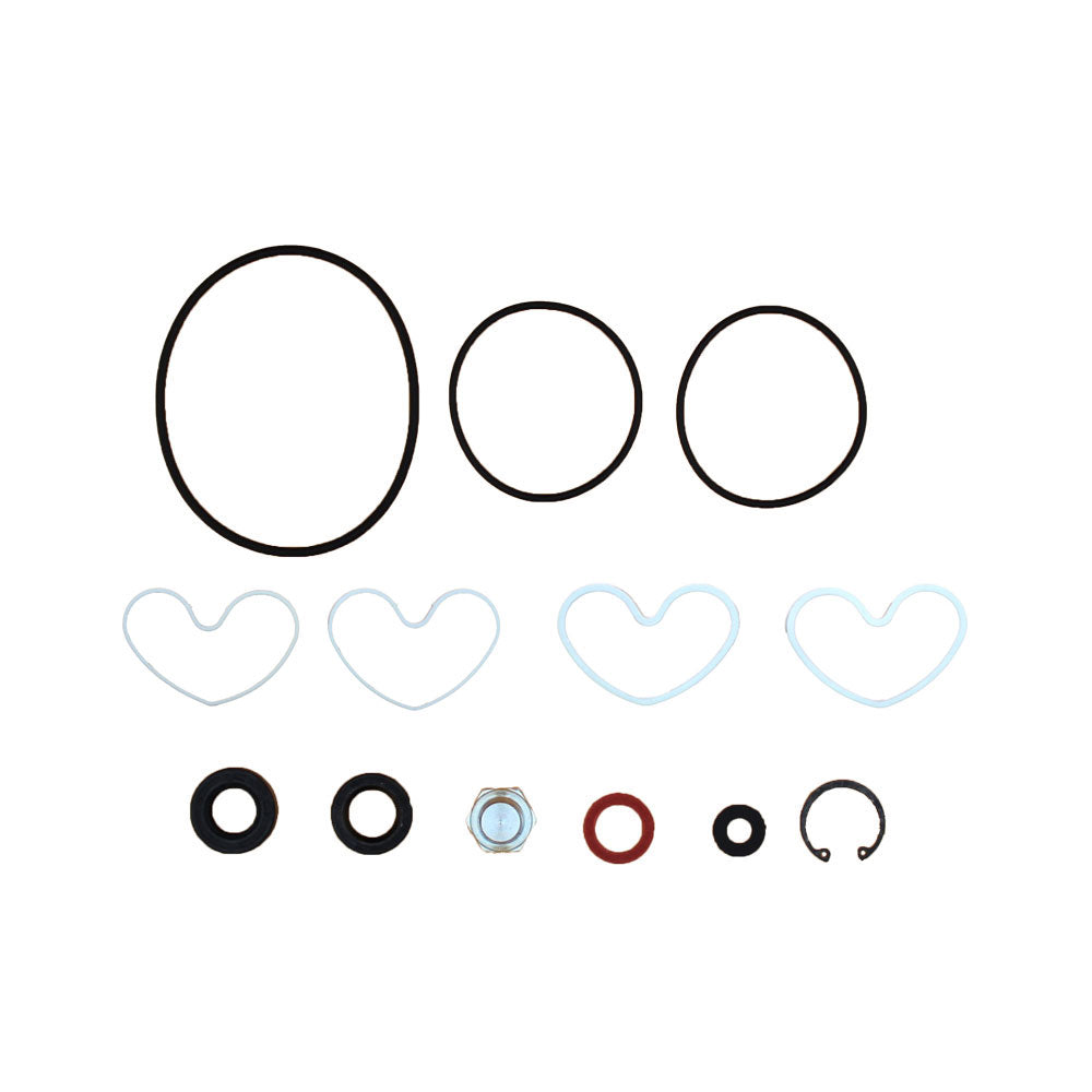 1810839M91 Seal Repair Kit Power Steering Pump