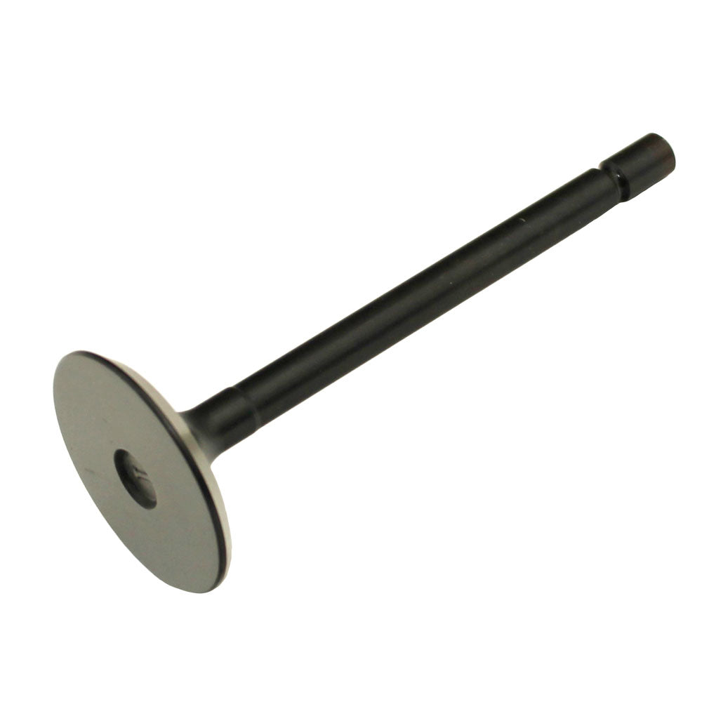 120166350 Intake Valve – additional image 2