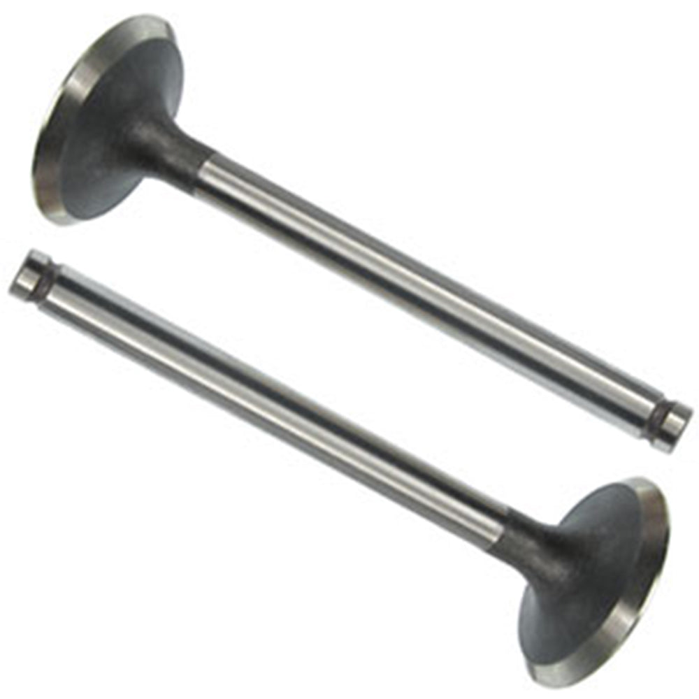 31431103 (Set of 2) Intake Valve