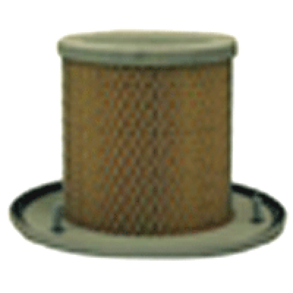 AF25301 Air Filter