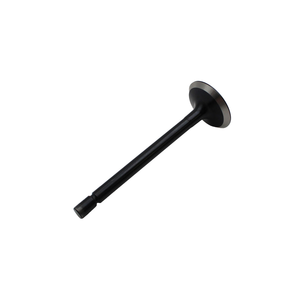 P120176360 Exhaust Valve – additional image 3