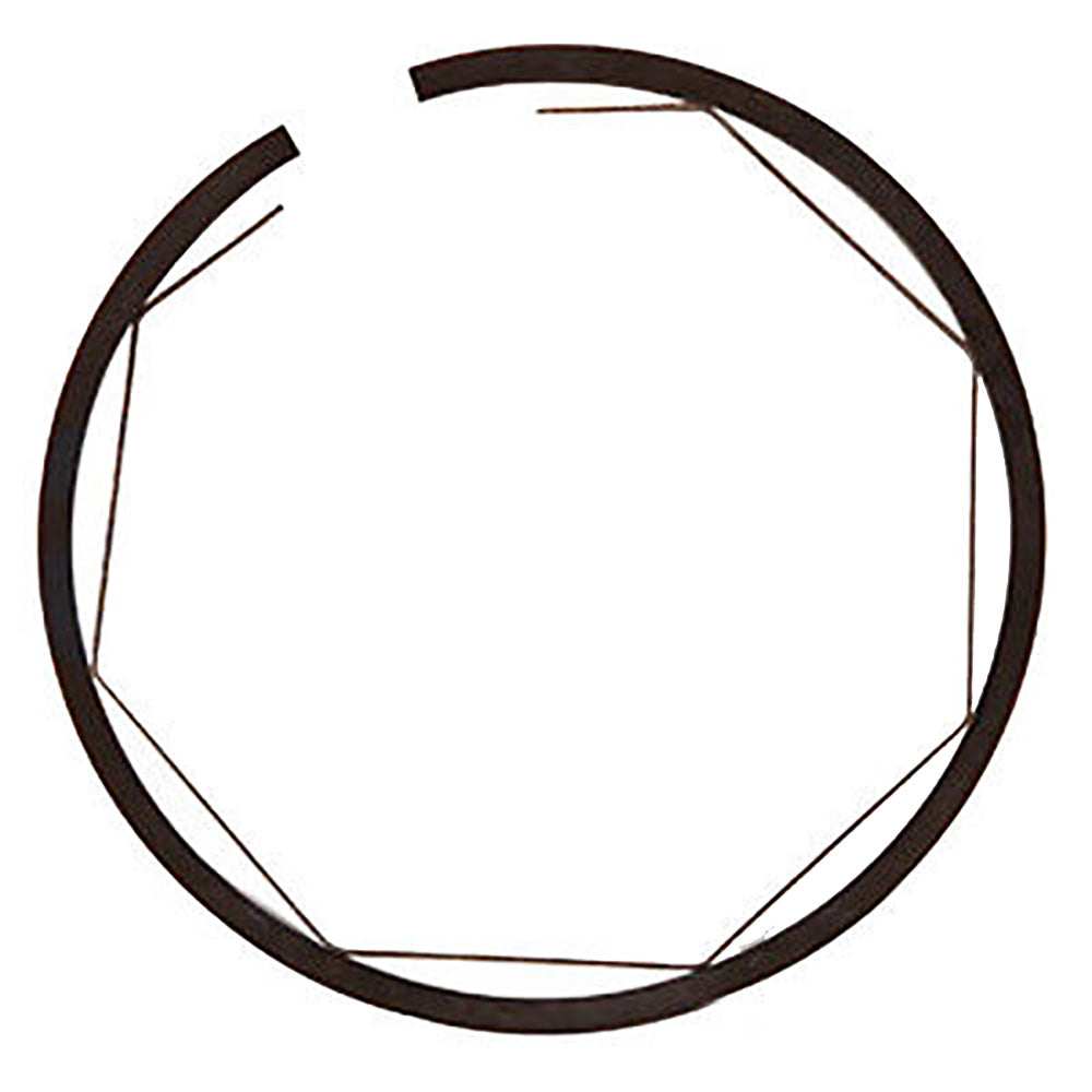 606918C91 Turbocharger Sealing Ring – additional image 3