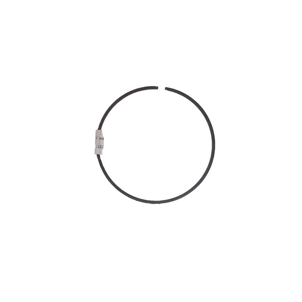 181157A2 Sealing Ring