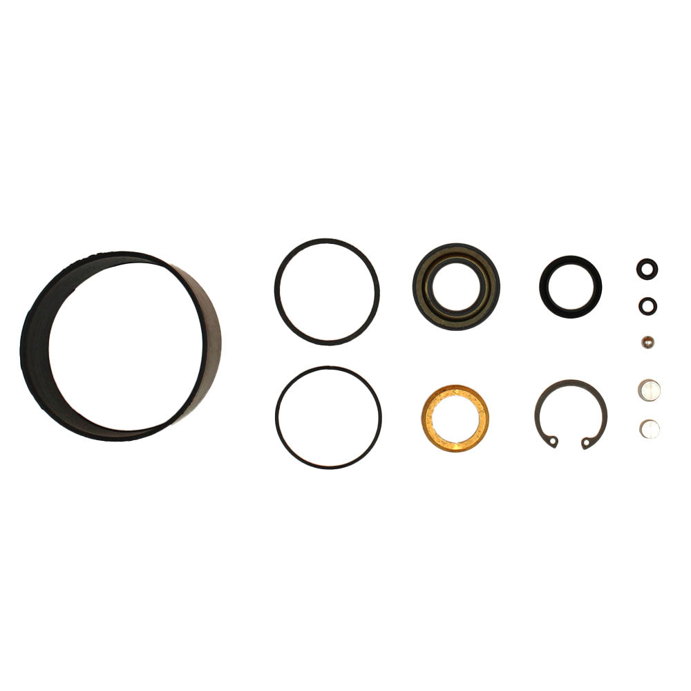 123465C1 AGCO SEAL KIT