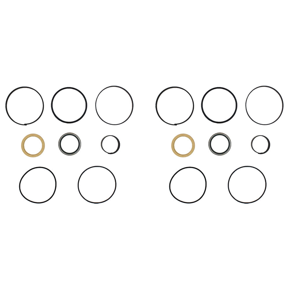 1543275C1 Qty 2: Cylinder Seal Repair Kit – Fits Case / International Harvester