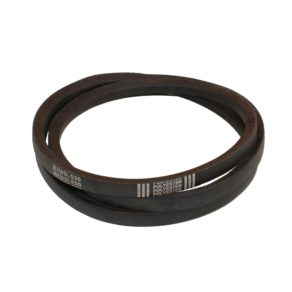 Specialty Belts – additional image 2