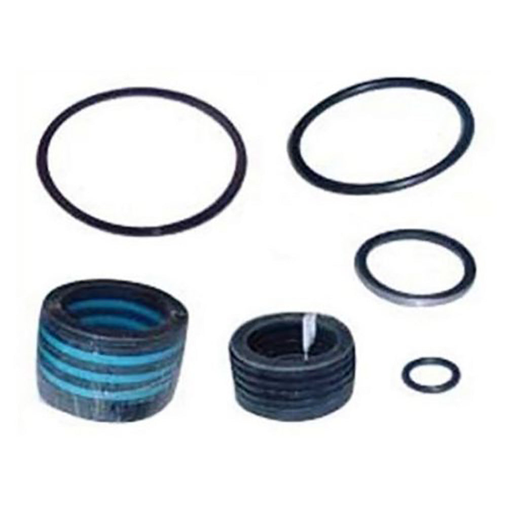 251165 Loader Lift Cylinder Seal Repair Kit – Fits Ford