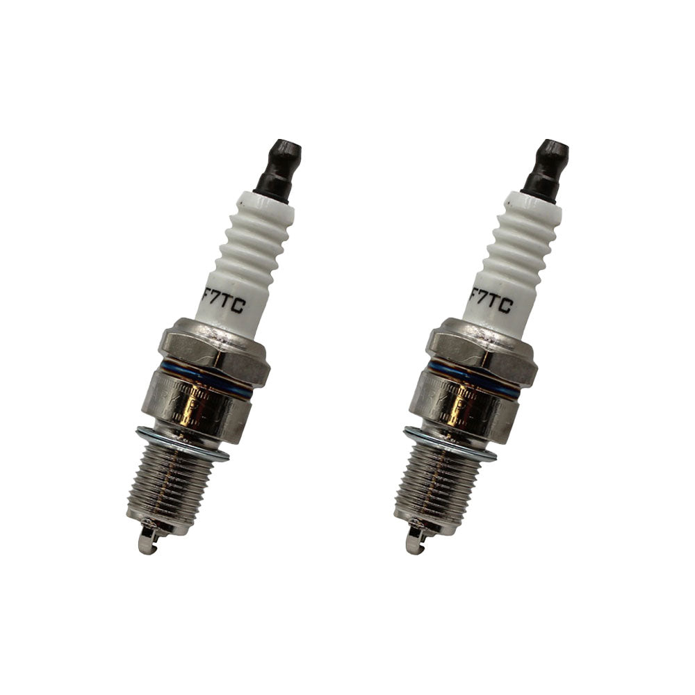 4265 Qty 2: Spark Plug – Fits AGCO
