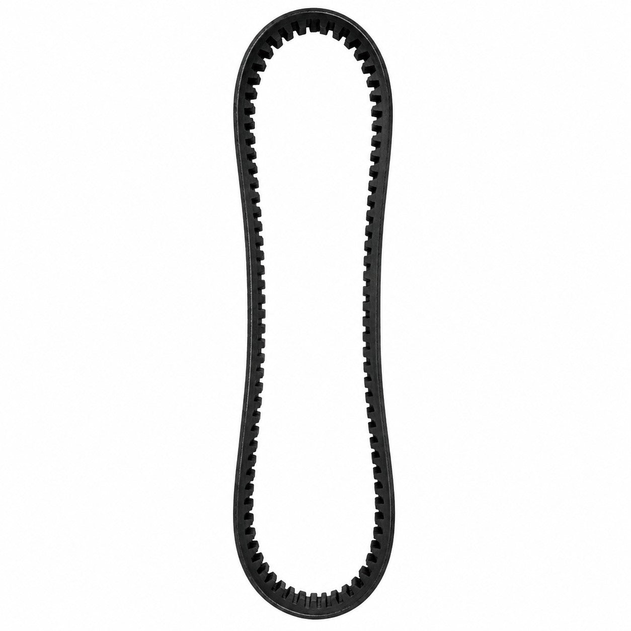 131403C1 Belt - Compressor