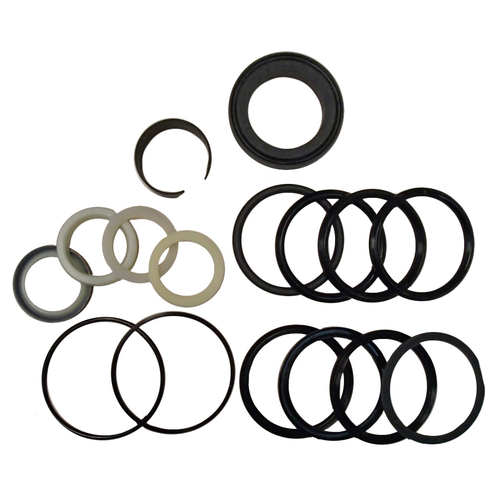 1543378C1 Cylinder Seal Repair Kit